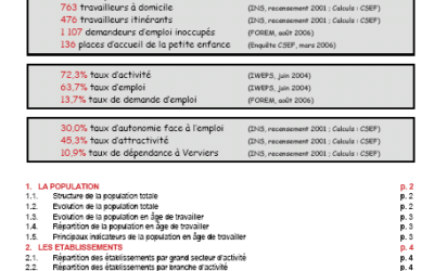 Marché de l’emploi à Herve (Etude du CSEF Verviers)